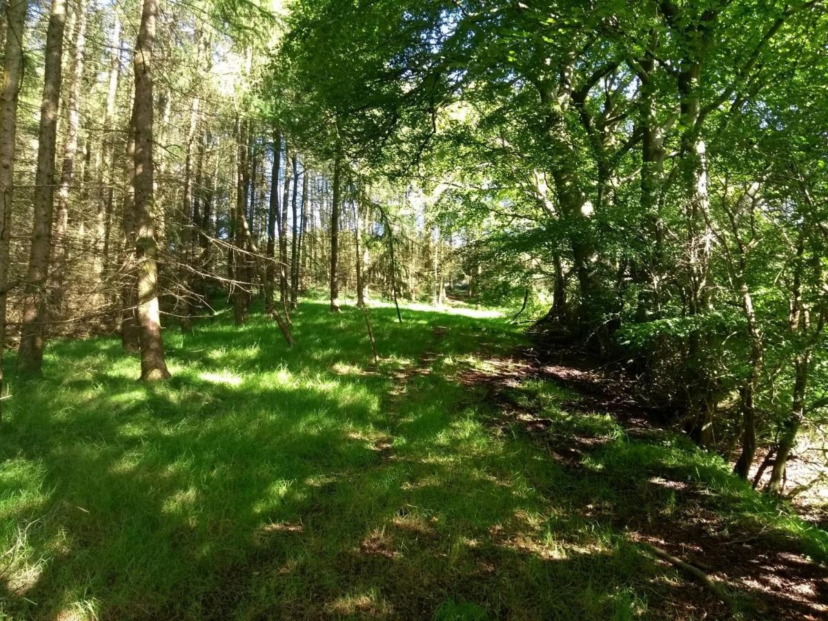 Cleeves Cabins Arran Luxury Lodge With Hot Tub Dalry  エクステリア 写真
