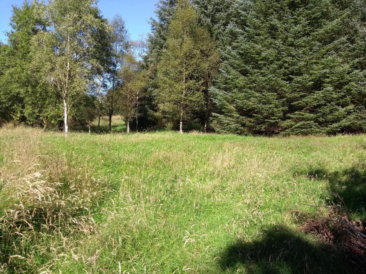 Cleeves Cabins Arran Luxury Lodge With Hot Tub Dalry  エクステリア 写真